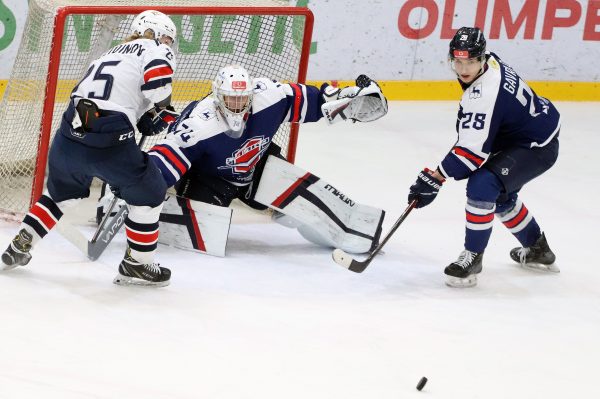 «Чайка» третий раз в сезоне уступила «Стальным Лисам»